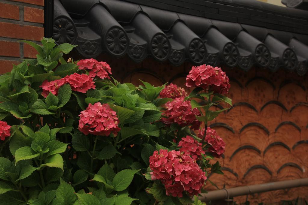 Dasomchae Hanok Stay Kvangdzsu Kültér fotó